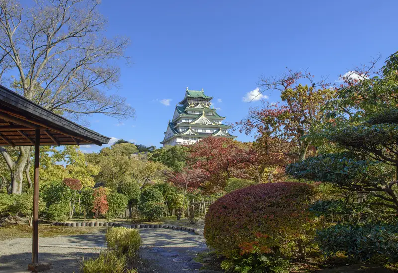 『豊松庵』で愉しむお抹茶体験
