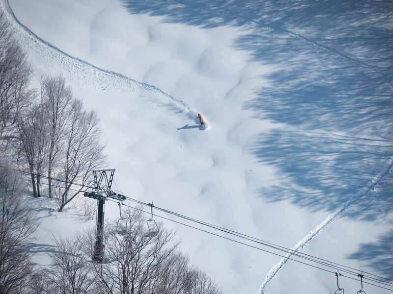 
ネコママウンテン　北エリア（イメージ）
