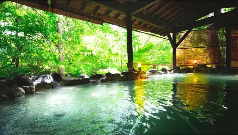 東北温泉（イメージ）