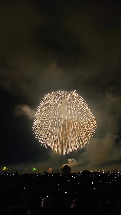 長岡花火（イメージ）