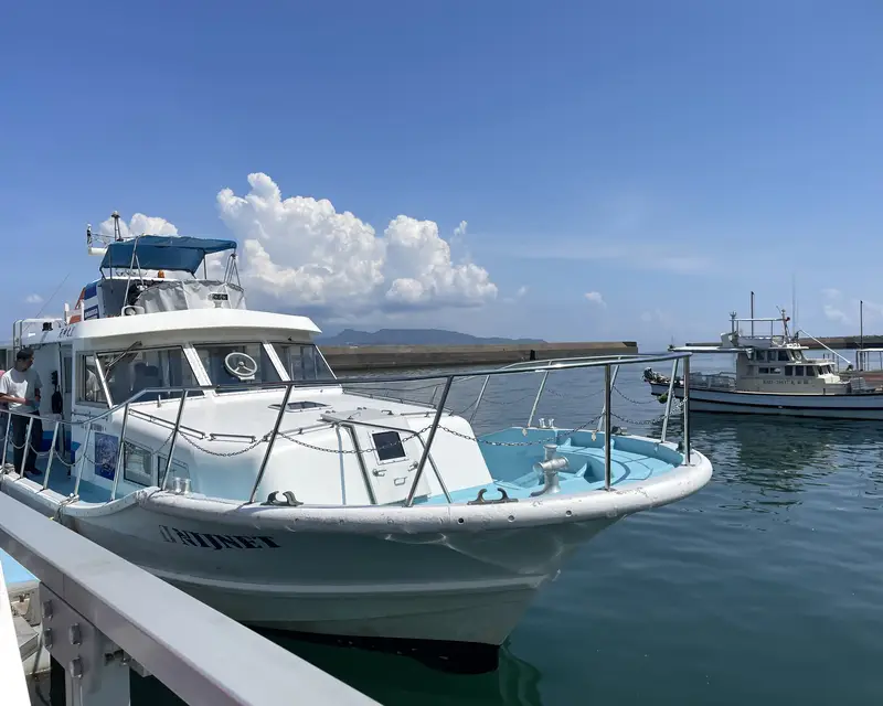 イルカウォッチング用の船