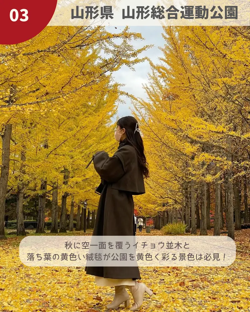 山形総合運動公園
