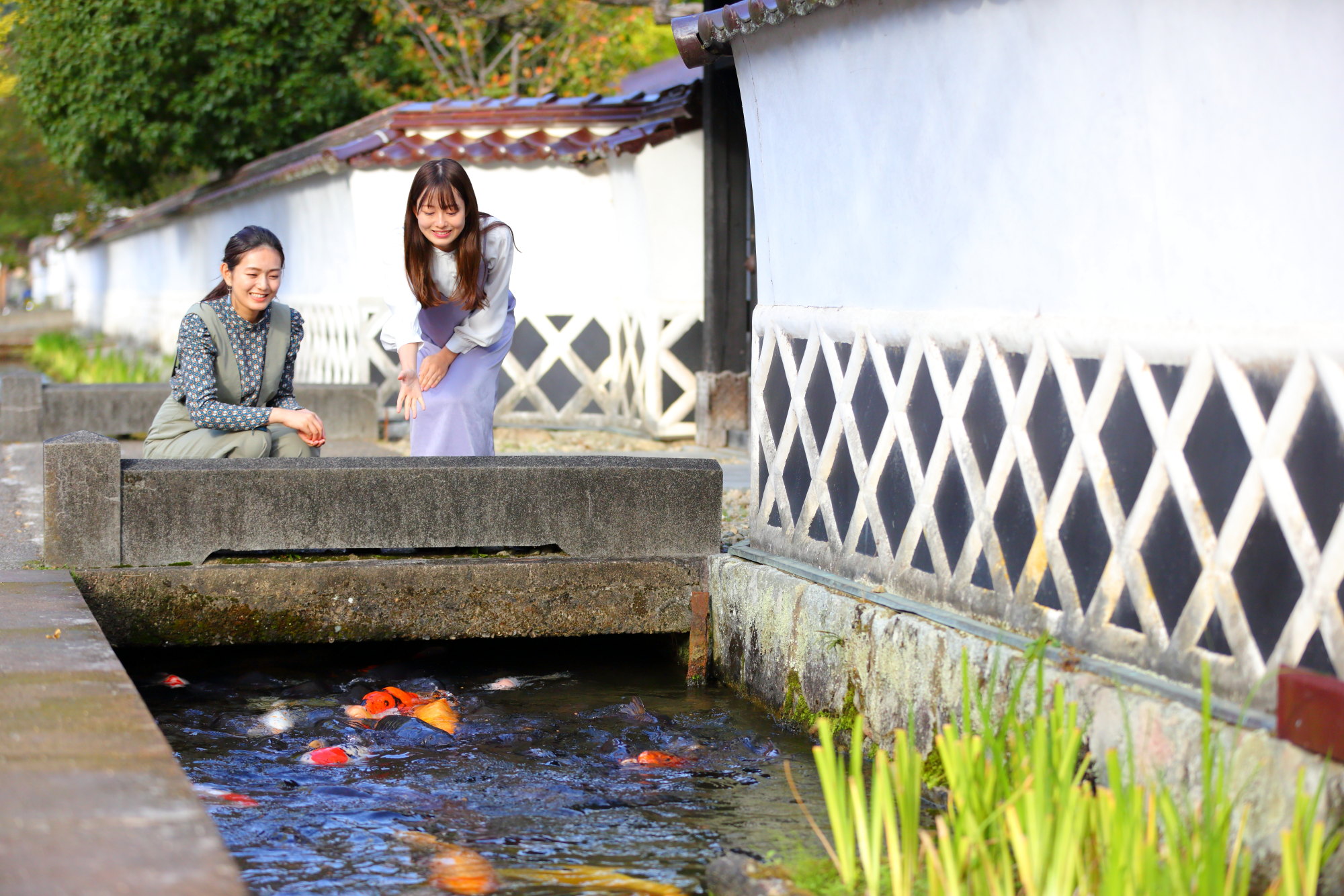 【山陰旅行前半】歴史好きにおすすめ！萩・津和野・石見銀山をレンタカーで巡る山陰2日間モデルコース