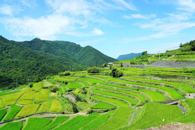 中山の棚田