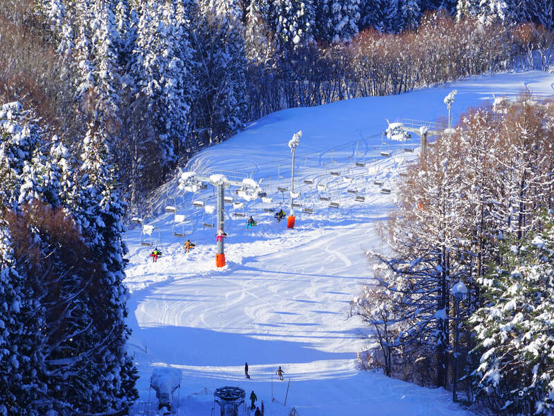 ゲレンデイメージ