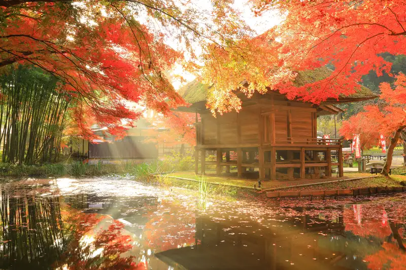 世界遺産・中尊寺の紅葉