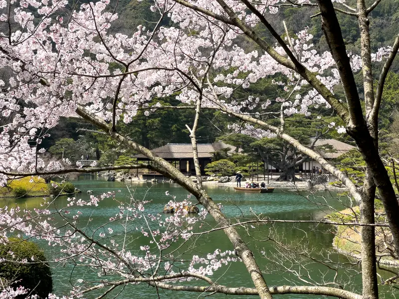 栗林公園 桜 写真映えスポット