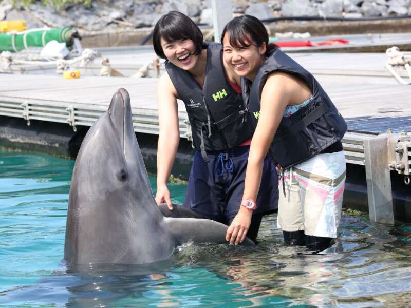 ルネッサンスリゾートオキナワ イルカと触れあう体験プログラム
