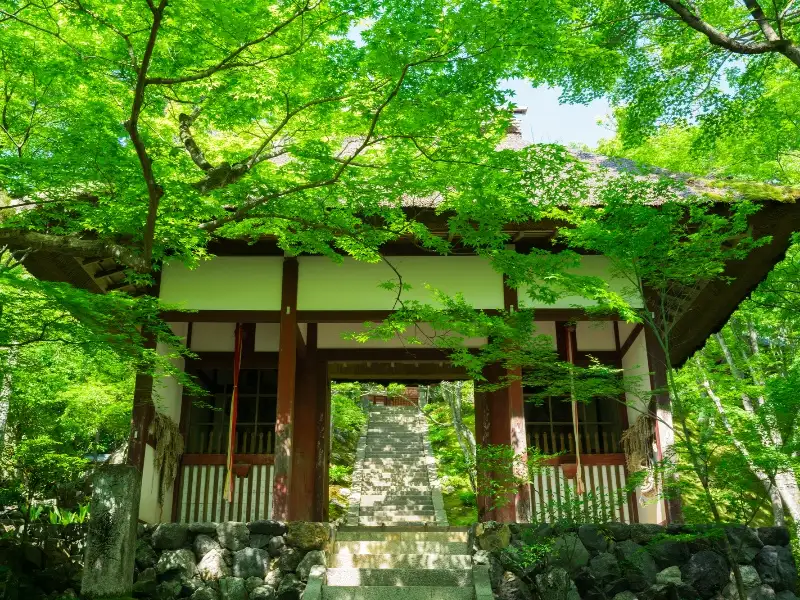 常寂光寺