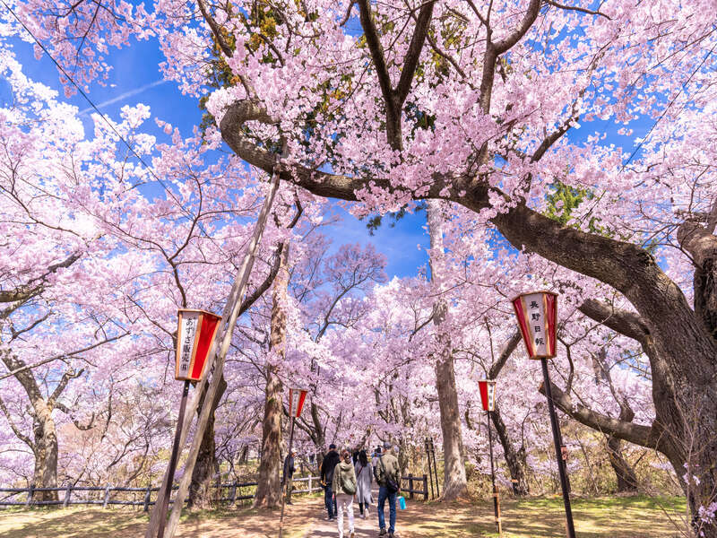 高遠城址公園（イメージ）