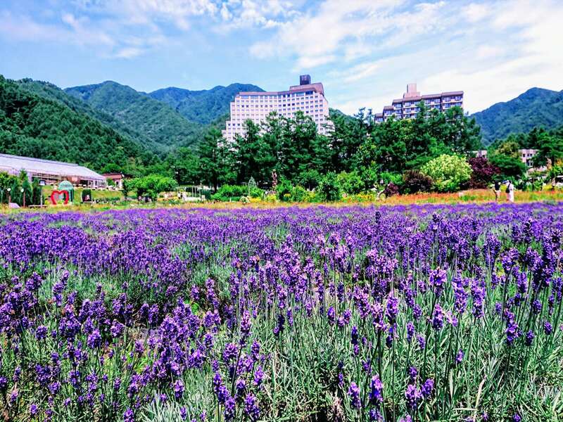 猪苗代ハーブ園