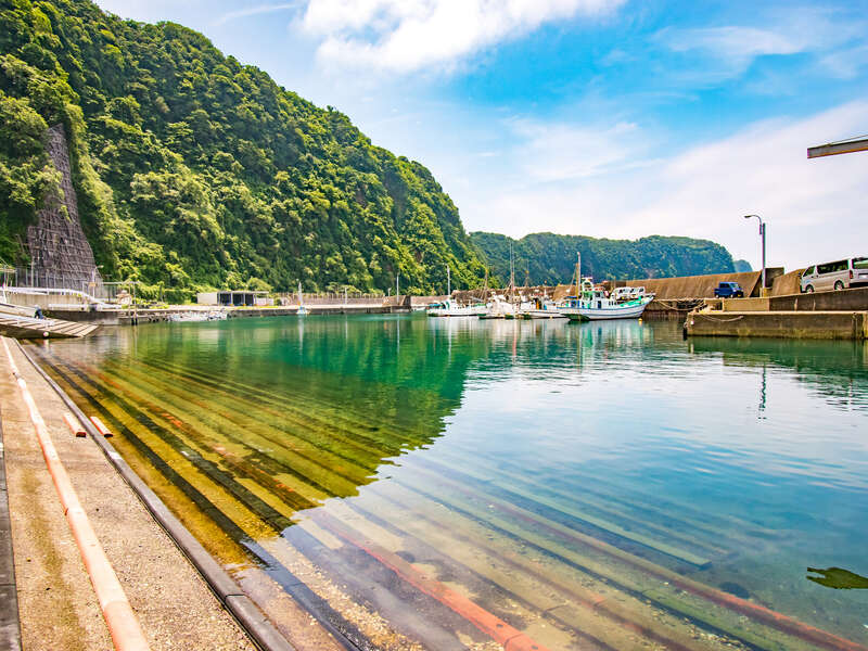 椿まつり謝恩磯釣り大会