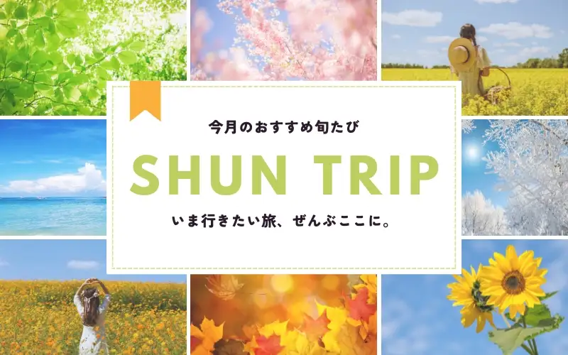 旬たび！今月のおすすめ国内ツアー特集