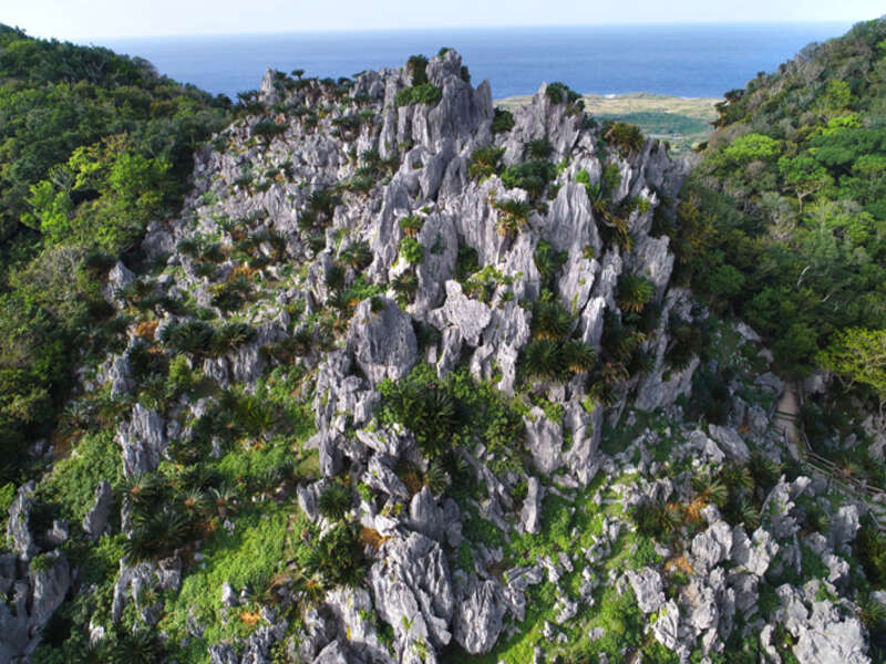 アスムイハイクス(旧大石林山)