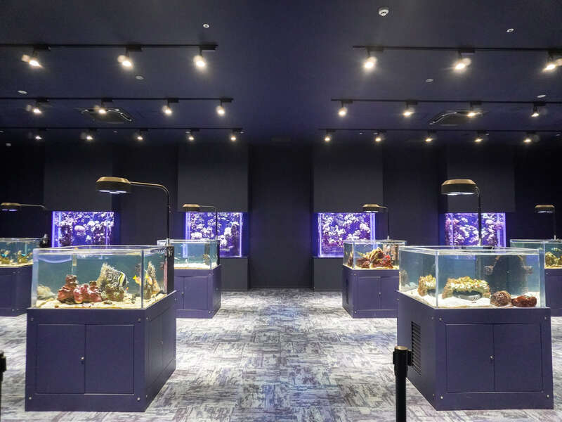 DMMかりゆし水族館
