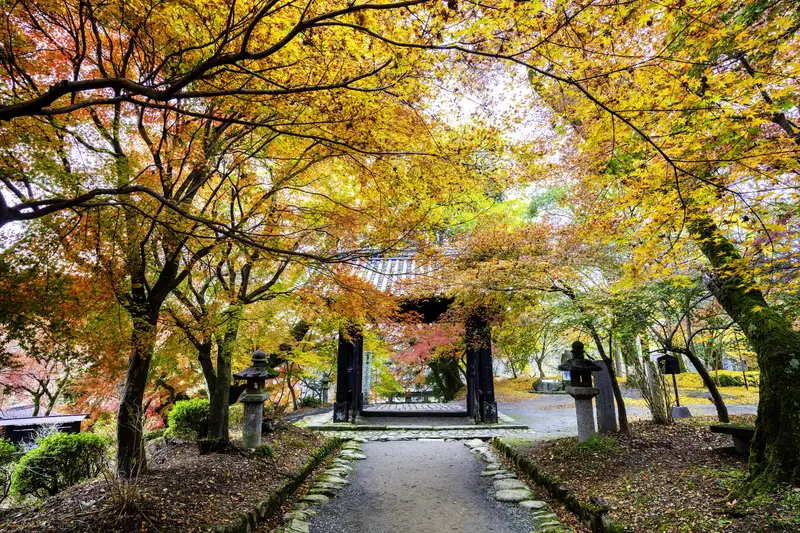 秋月城跡