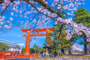 京都県 平安神宮（イメージ）