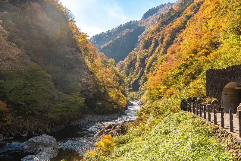 清津峡の紅葉