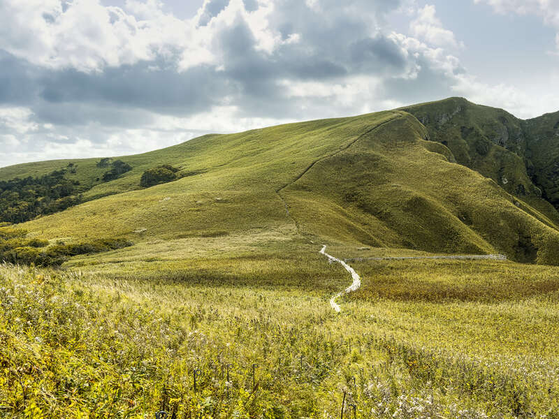 人気ルート「フラワーロード」