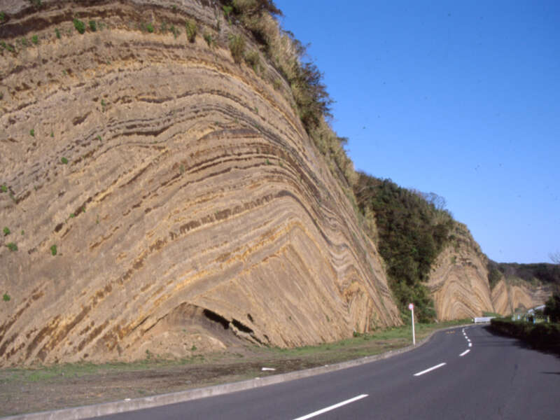 伊豆大島 地層切断面（バウムクーヘン）