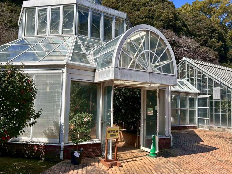 都立大島公園 椿園