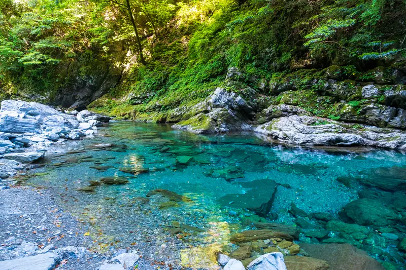 雪解け水で透明度の増した春の安居渓谷