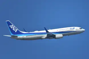 ANAの飛行機