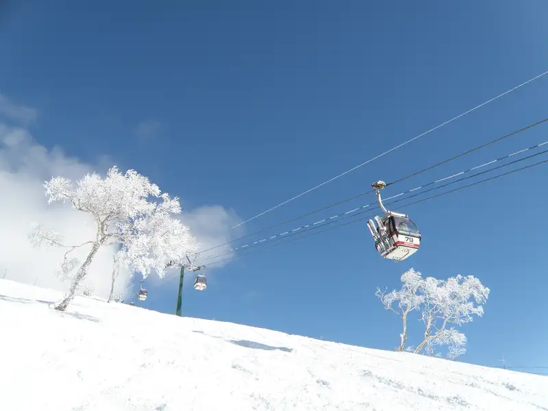 ニセコアンヌプリ国際スキー場ゴンドラ