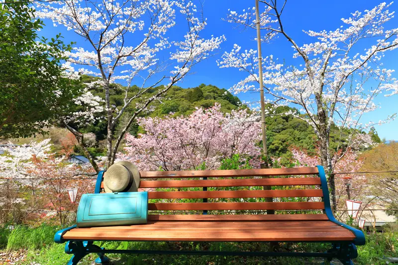 牧野公園 春の景色