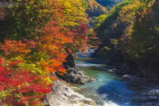 群馬県 諏訪峡（イメージ）