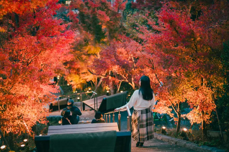 紅葉