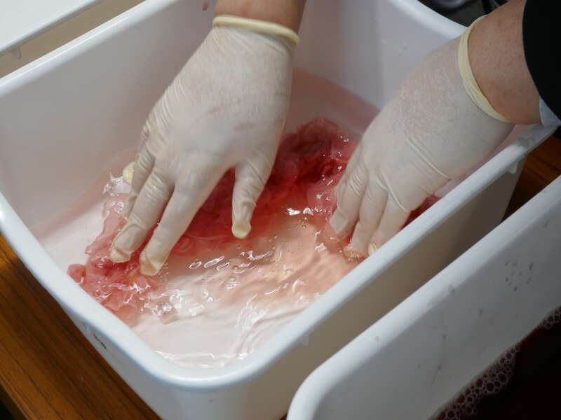 椿の花びら染め体験教室・販売