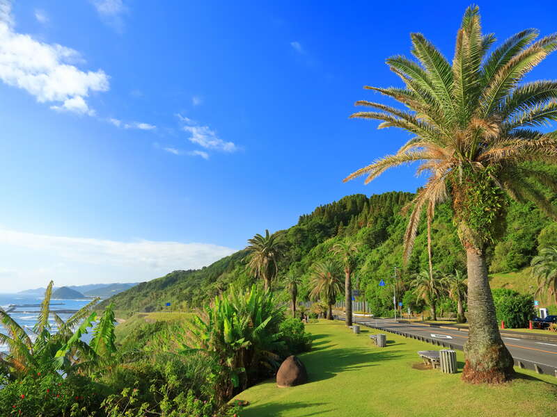 日南海岸（イメージ）