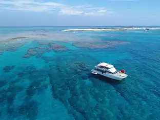 シュノーケリング（イメージ）