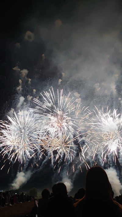 長岡花火（イメージ）