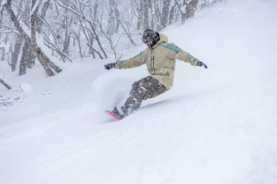 
ネコママウンテン　南　バンク（イメージ）