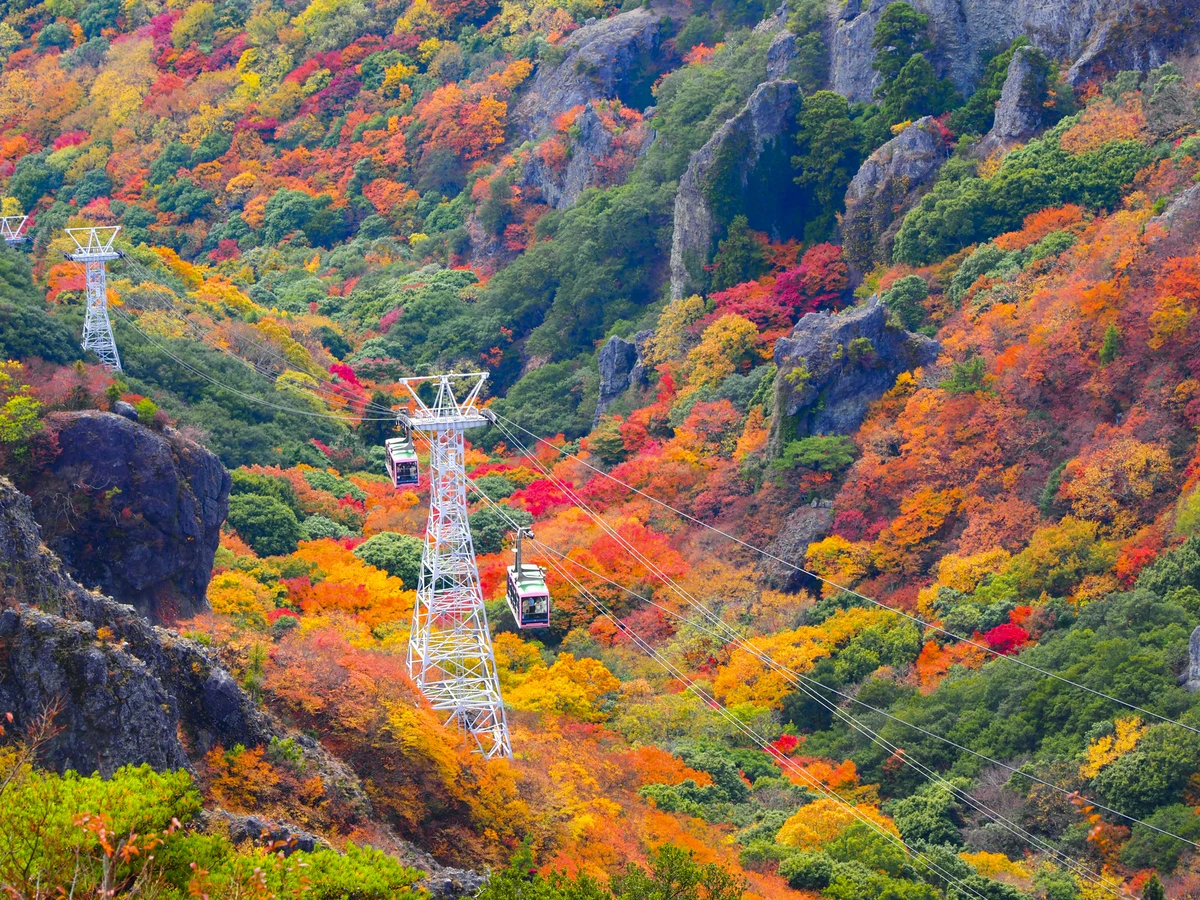 彩の紅葉シーズンにおすすめの大人旅！小豆島＆高松を巡る観光モデルコース