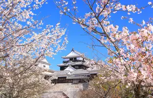 愛媛県 松山城（イメージ）