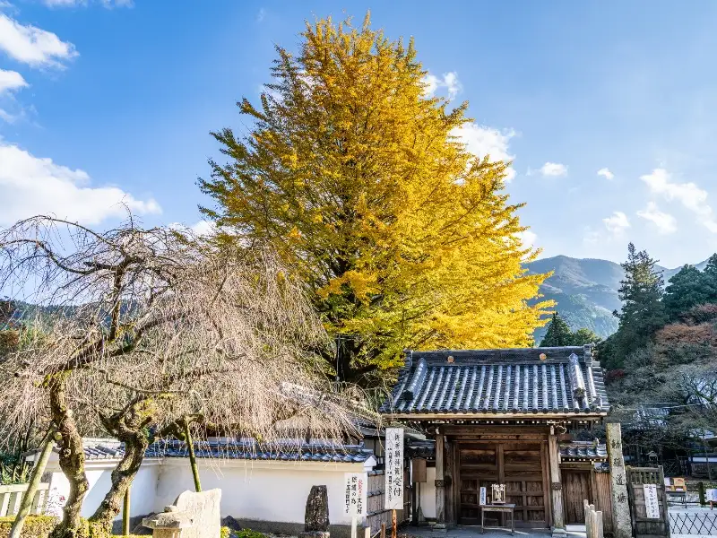 雷山千如寺大悲王院