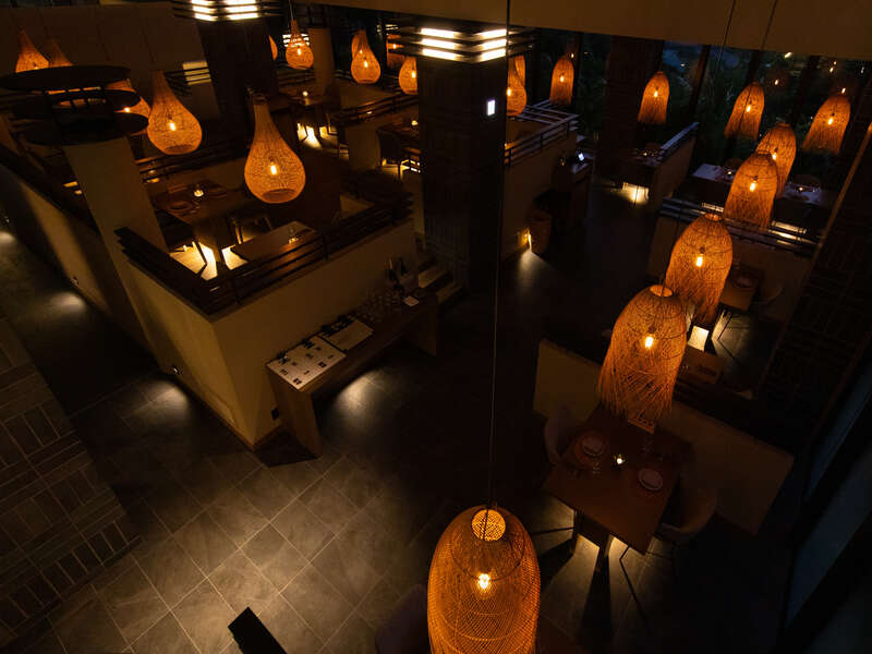 ディナー（イメージ）