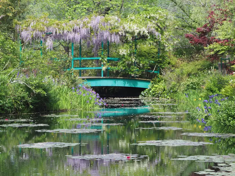 「モネの庭」マルモッタン 藤と睡蓮の時期