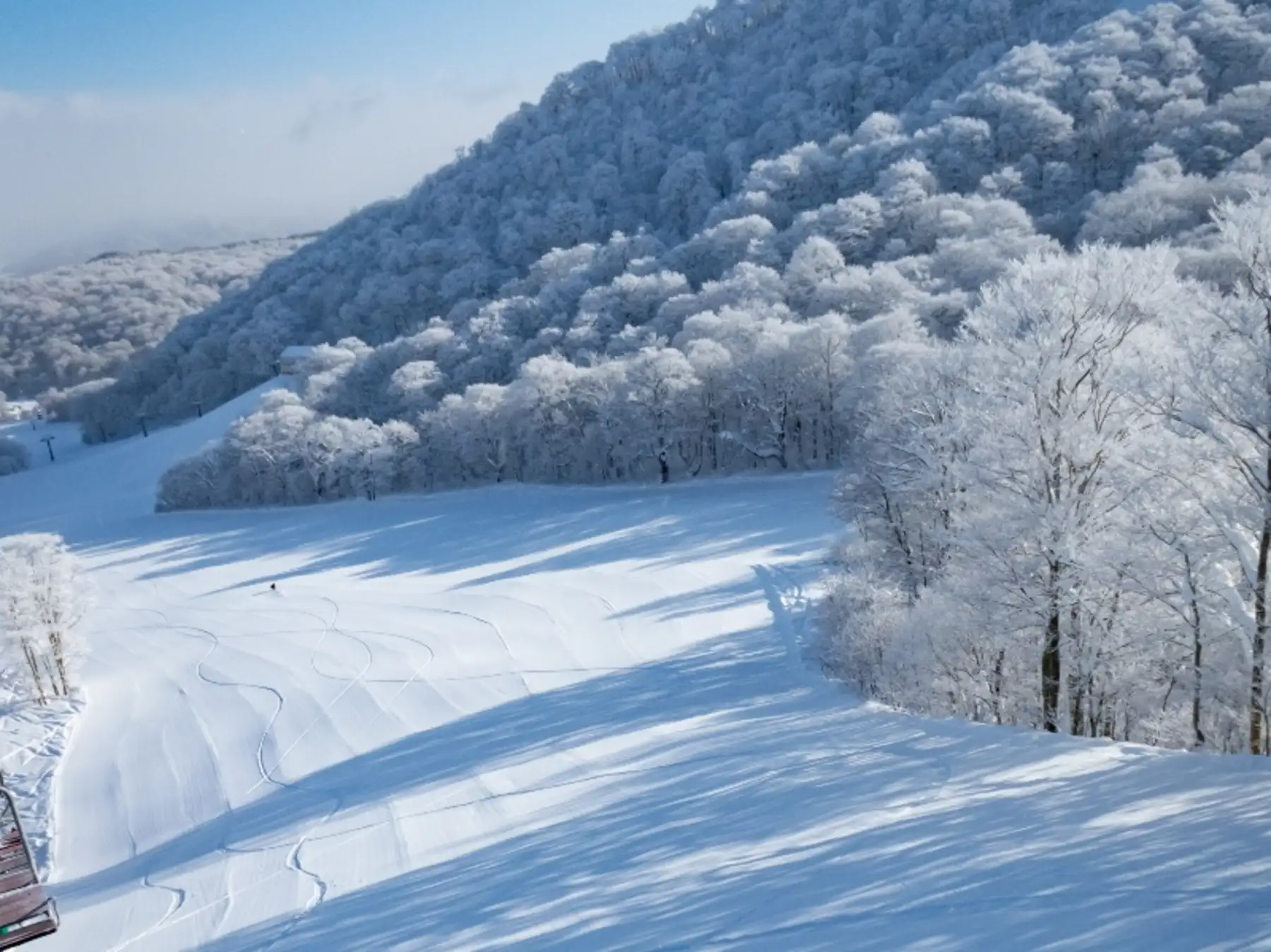 ネコママウンテン　北エリア（イメージ）