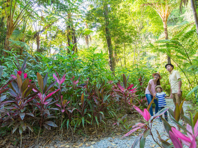 かりゆし福寿ファーム